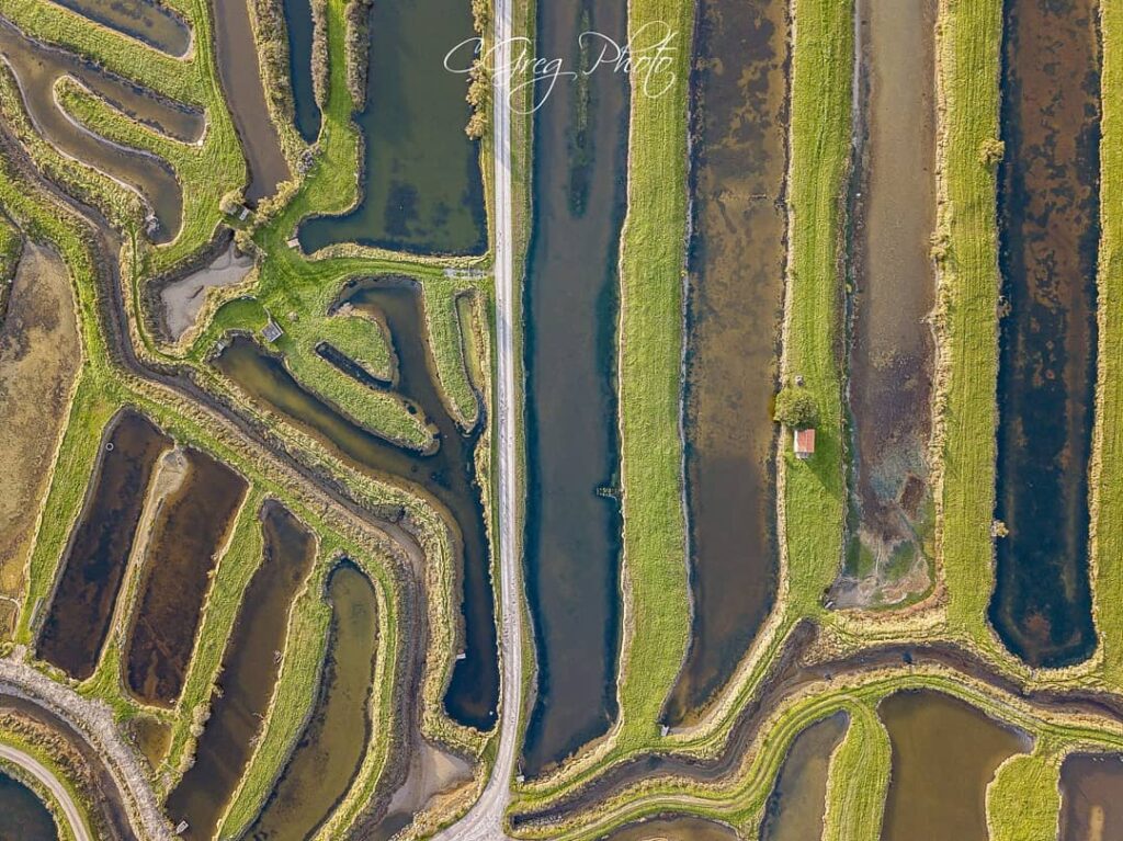 photo drone photographe saint gilles (1)