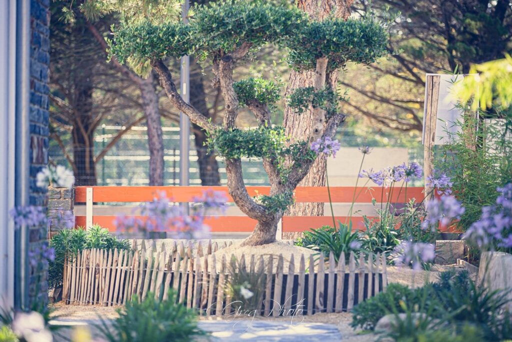photographe immobilier st gilles (34)